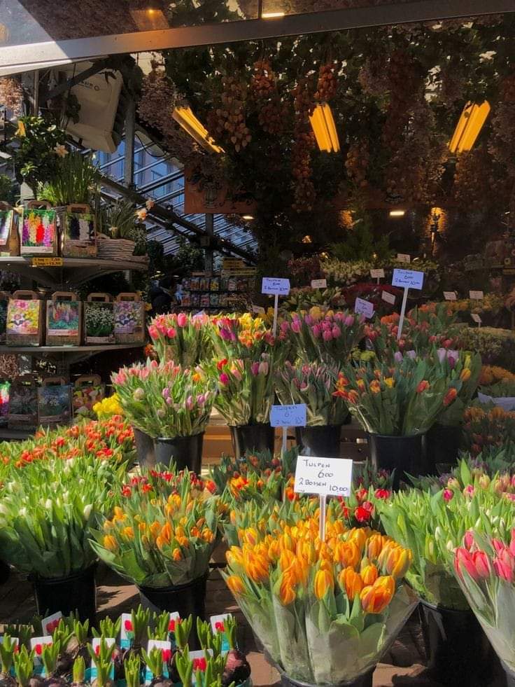 atesam0610's tweet photo. Precious 🥀💐🌷 https://t.co/vZoOsV8qE9