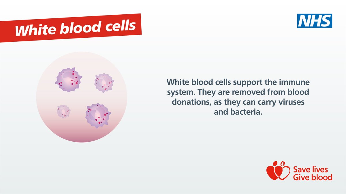 Fun fact.

Your blood contains 4 main components.

3 of them can be used to save lives through blood donation.

➡️ orlo.uk/64oJl