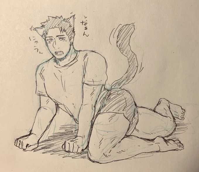 猫若🔥さん 
