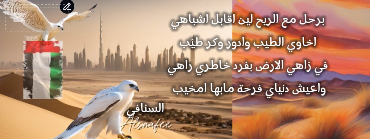 سنافي🇦🇪 tweet media