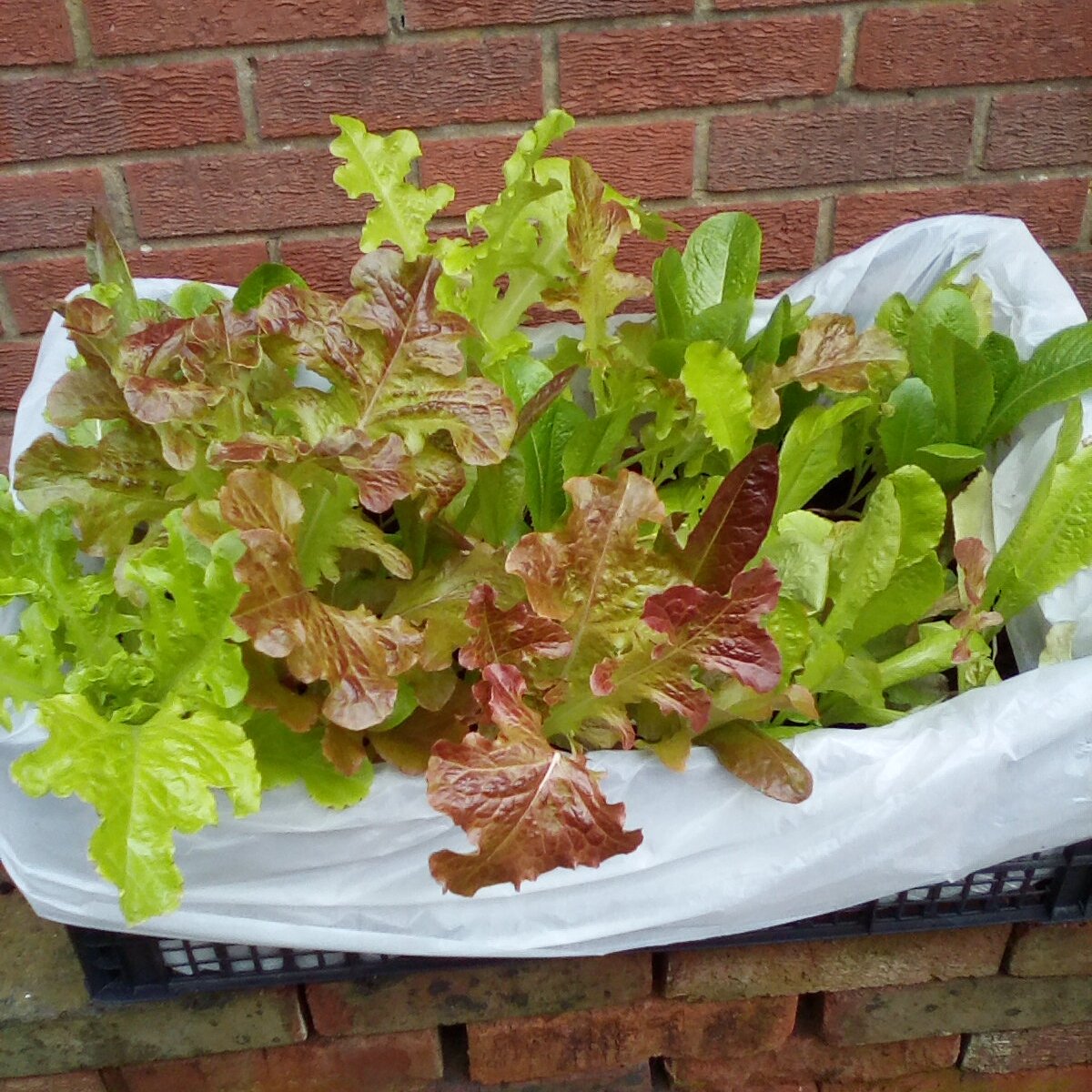 Tracy Louise tweet media