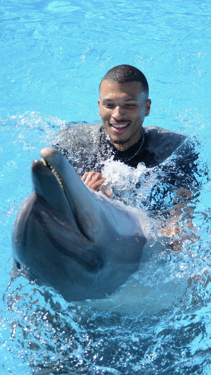 Zayfus 𓂀 tweet media