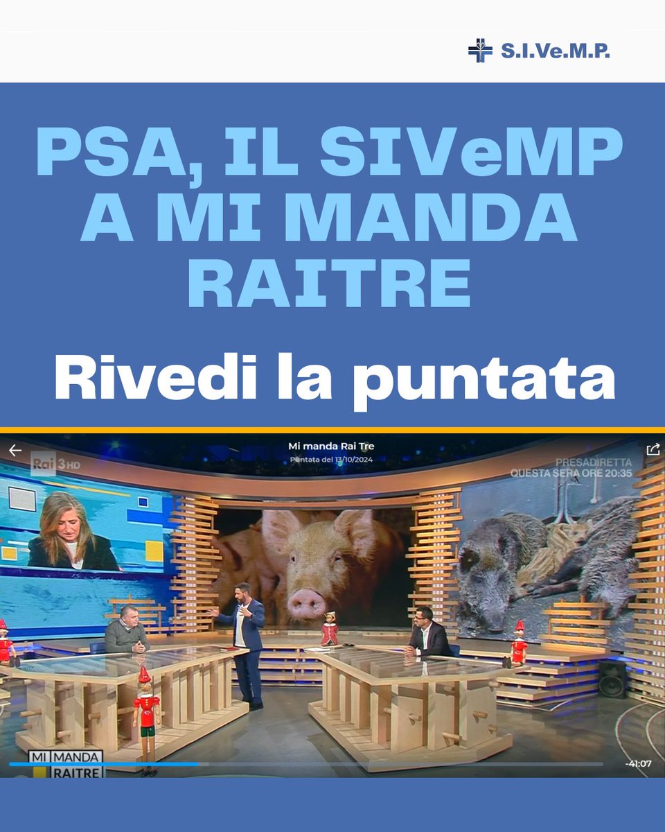 SIVeMP_Naz's tweet photo. Giorgio Micagni della Segreteria Nazionale SIVeMP a Mi Manda Rai 3
https://t.co/R436Hv7udF https://t.co/HQUb5A7HCZ