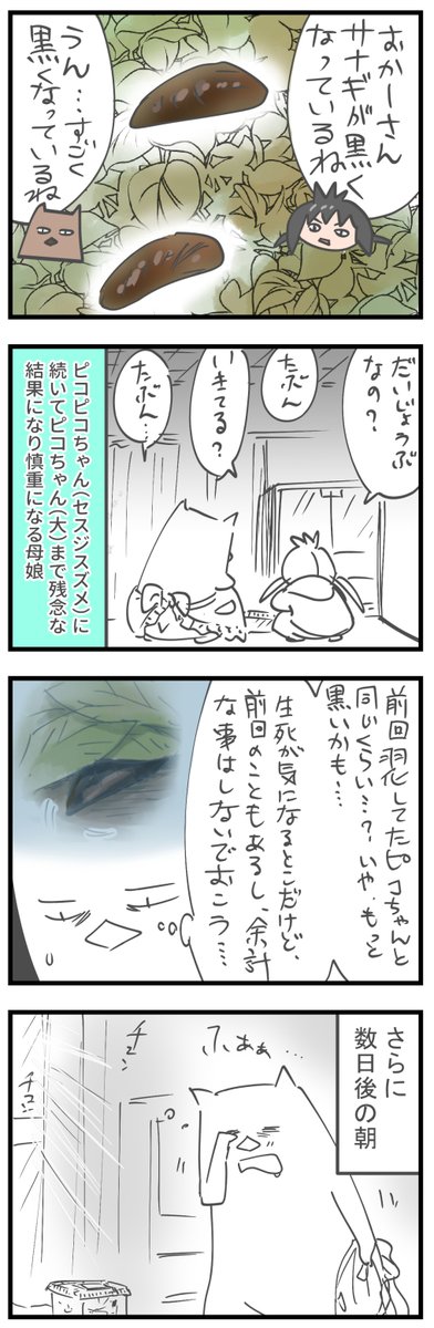 【完結】むすめ、イモムシを飼う⑧(※虫が苦手な方はご注意) https://t.co/l7ZQqo7LJh 
#育児漫画 #イモムシ #飼育日記 #ホシホウジャク
#むすめ雑記帳 
長いので続きはリンク先で 