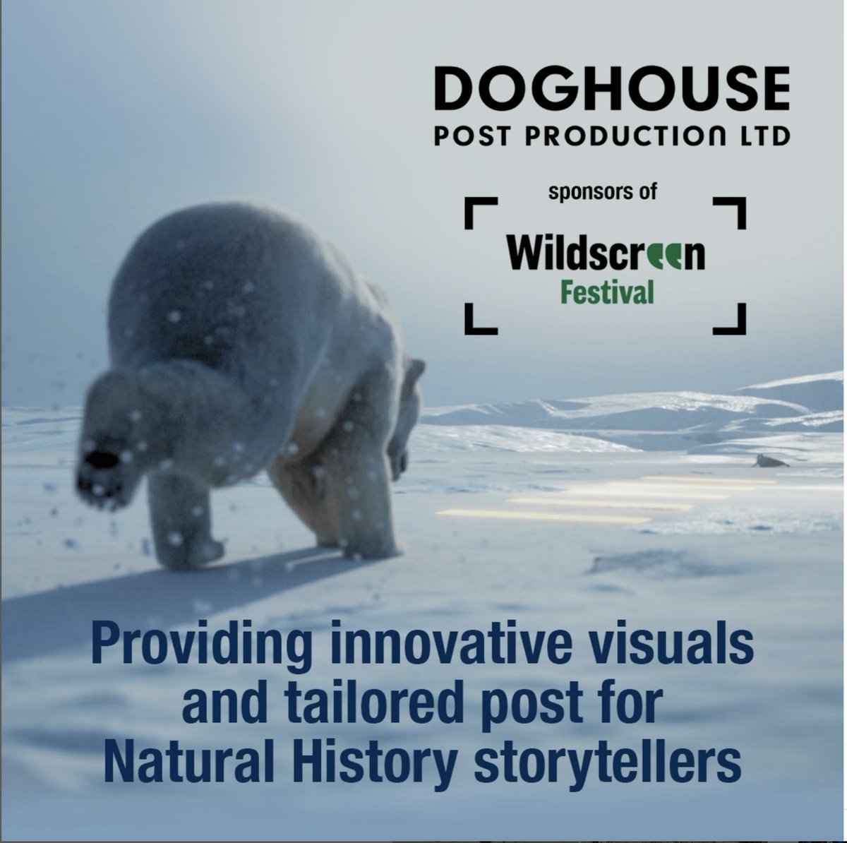 Doghouse tweet media