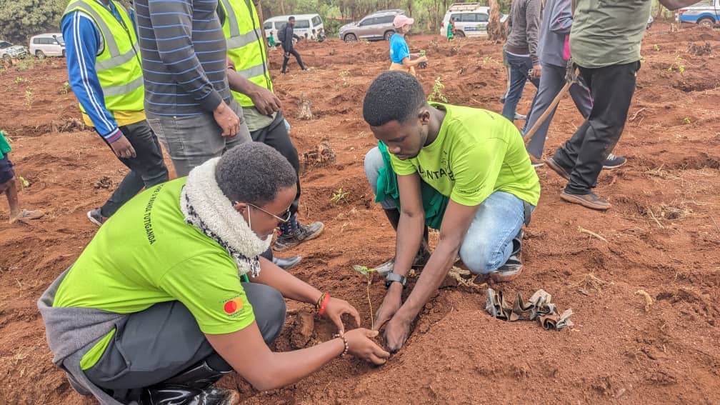 AgronomeZebri's tweet image. Planting trees is the one of key measures to fight against the Climate change. CorpsAfrica Volunteers in Gisagara district participated community work where about 10,000 trees were planted.
#thisIsCorpsAfrica #communityleddevelopment @followers @CorpsAfrica/Rwanda.