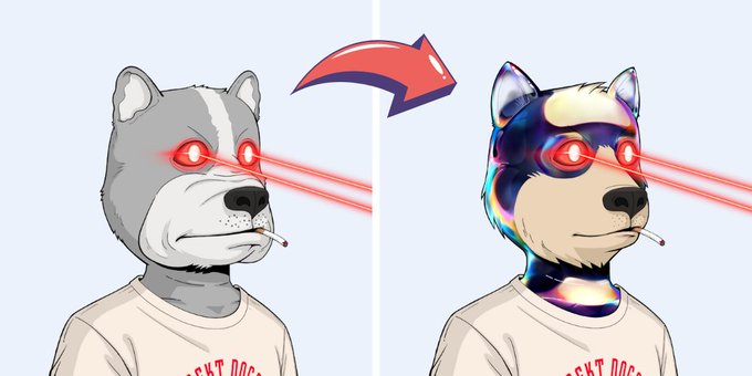 Rekt Dogs Introduces New Fur Upgrades and Trait Swap Platform