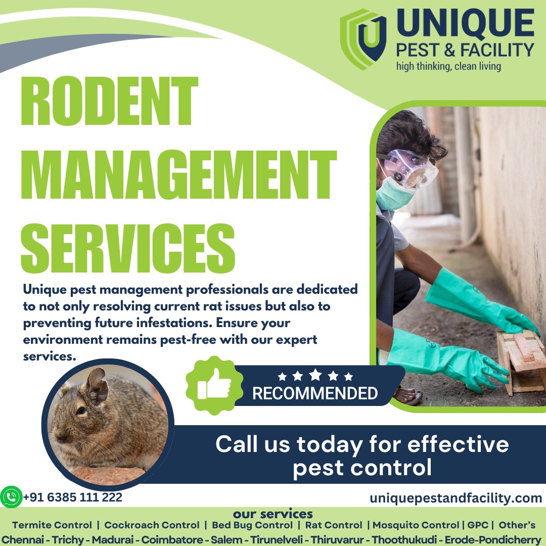 pest_unique's tweet image. Protect your home from unwanted guests with our expert rodent management services.
Contact Us: +91 6385 111 222
Visit Us: uniquepestcontrol.in
#uniquepestandfacility #pestcontrolexperts #rodentcontrolservice #chennai