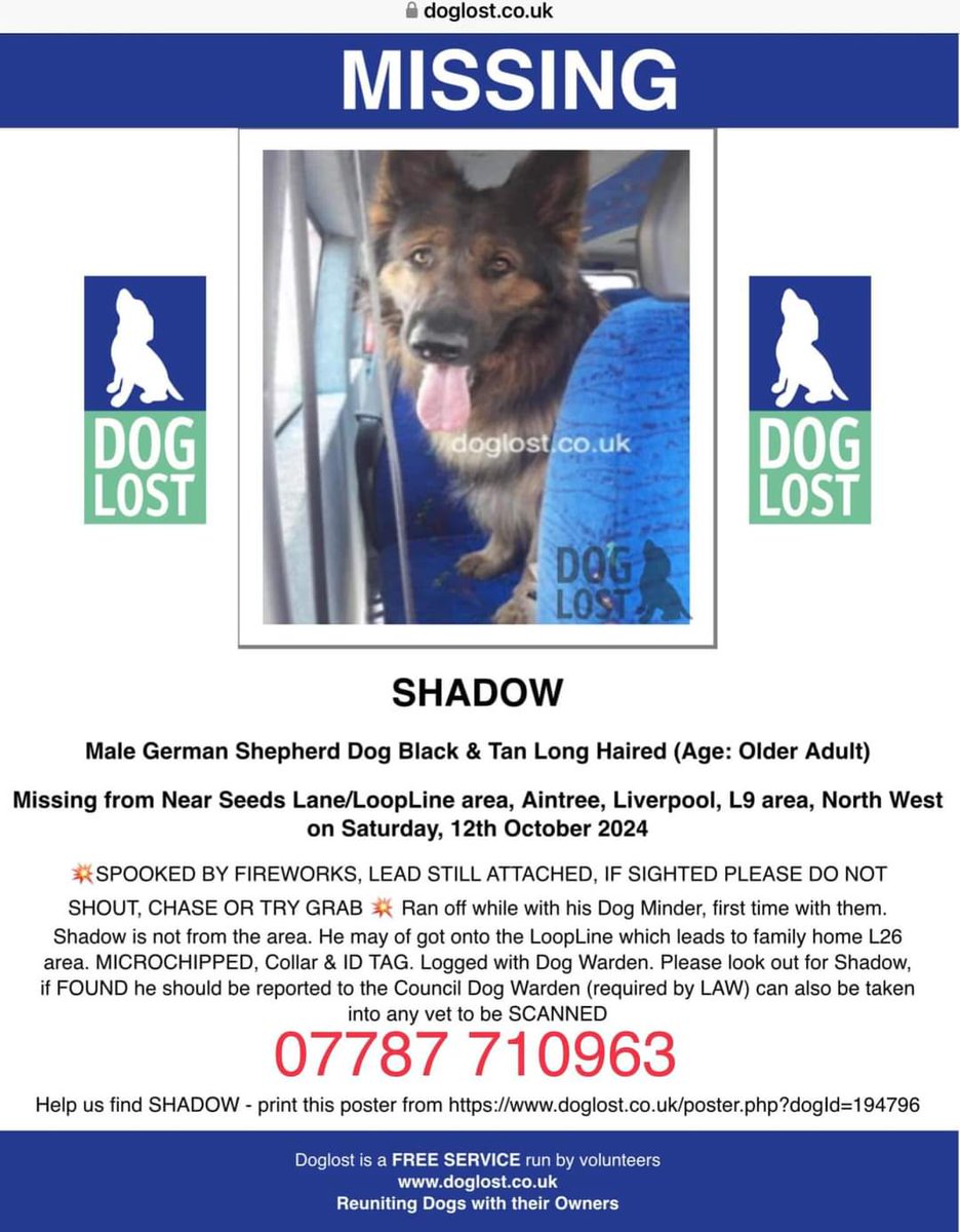 MissingPetsGB's tweet photo. URGENT⚠️
*We are now no longer sure that Shadow went missing yesterday, it may have been anytime in the past two weeks. The dogminder is not being helpful &amp; her partner is aggressive &amp; uncooperative. Please keep eyes peeled for Shadow anywhere around the Aintree/Walton Vale area* https://t.co/XClF9uCozn