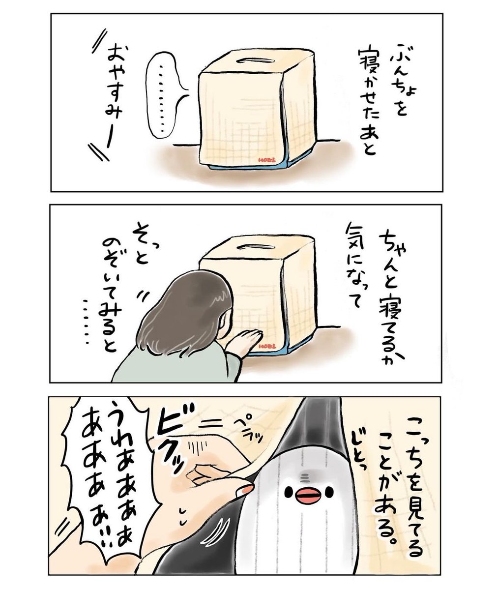 明日も20〜21時にイラスト投稿します🐦
ぶんちょは見ている(再掲) 