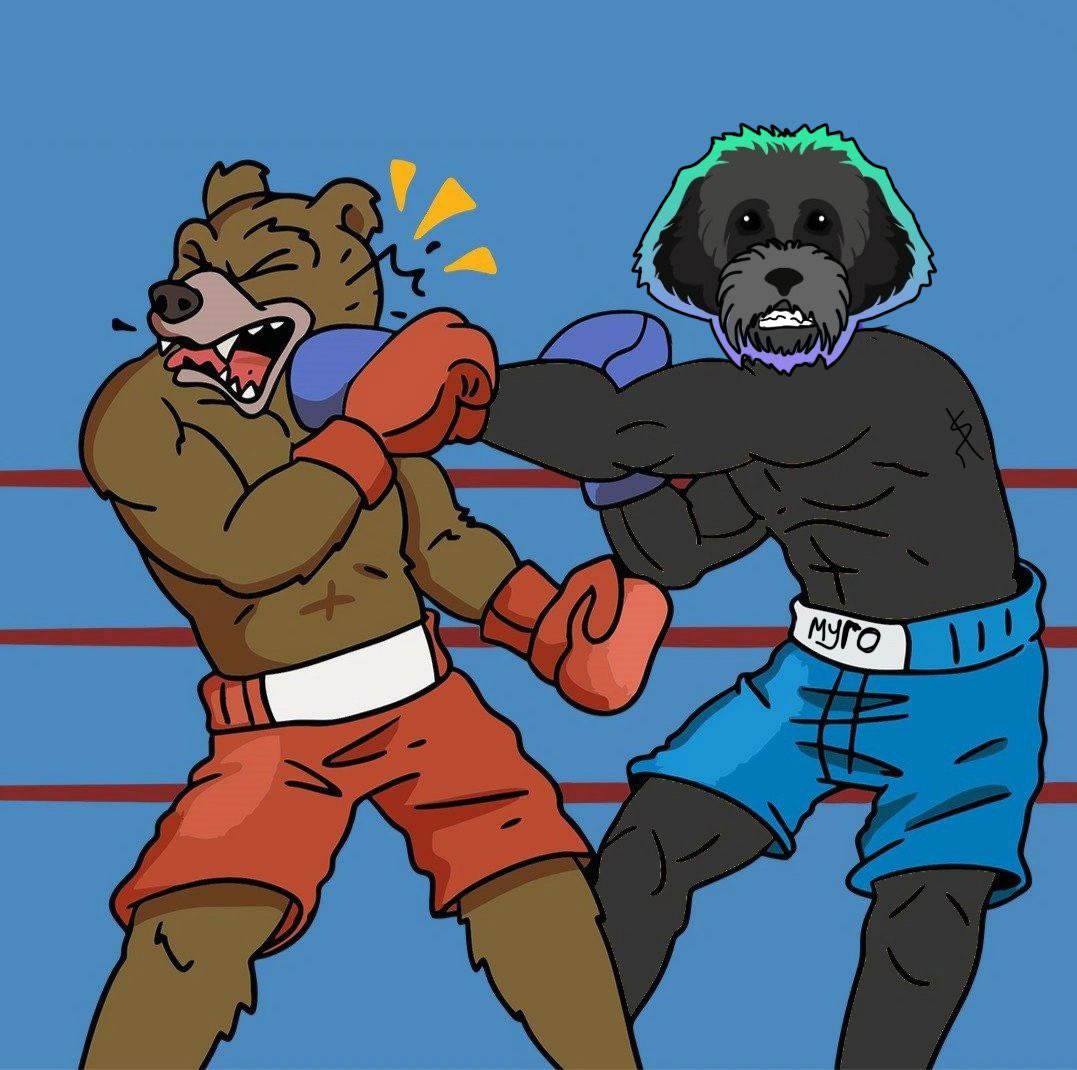 $MYRO dominating the ring with the bears 🐕‍🦺

$MYRO $SOL