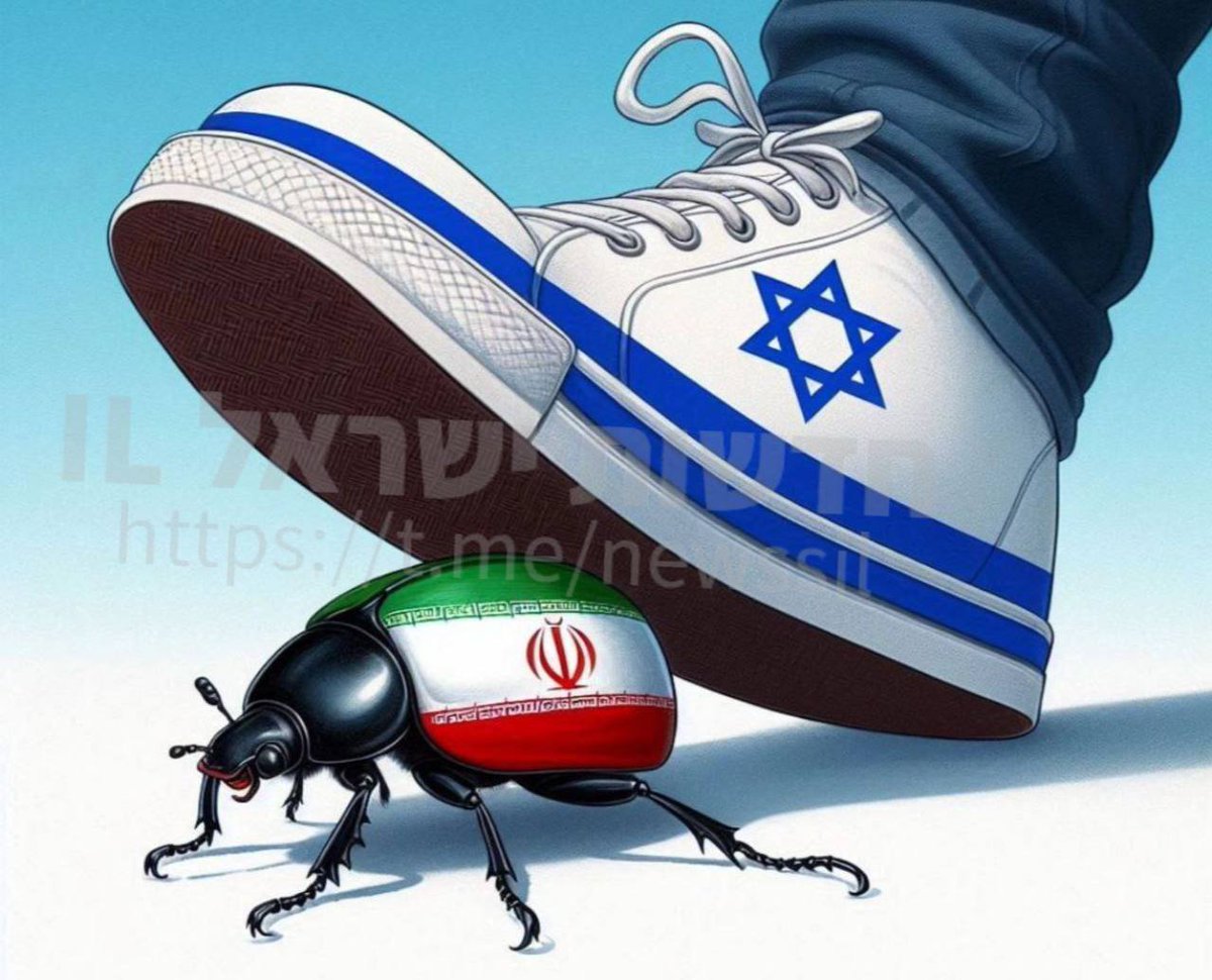 Joan Rodríguez ג'ואן רודריגז tweet media
