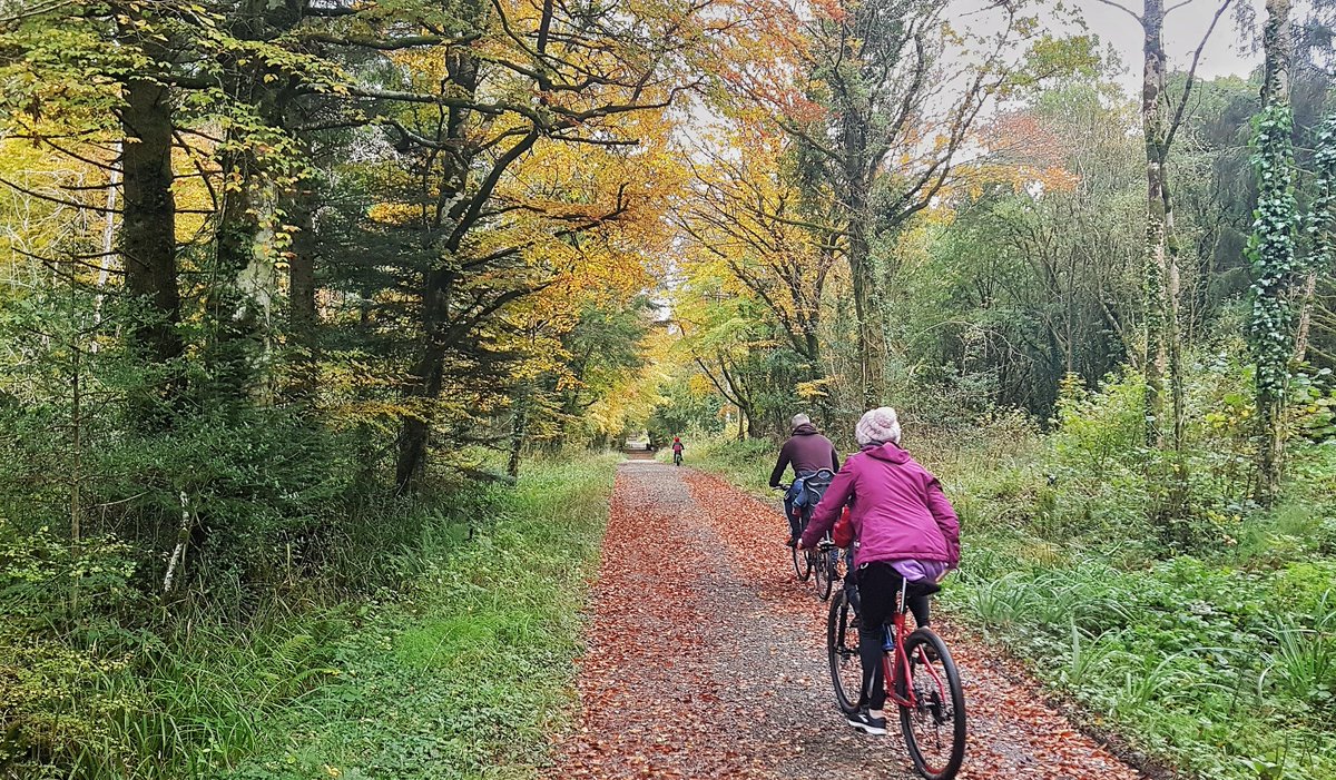 Forest Service Northern Ireland (@forestserviceni) on Twitter photo We are pleased to announce launch of new Forestry student placement competition for 2025/26 (up to 51 weeks).. Details here > irecruit-ext.hrconnect.nigov.net/jobs/vacancies… We are pleased to announce launch of new Forestry student placement competition for 2025/26 (up to 51 weeks).. Details here > irecruit-ext.hrconnect.nigov.net/jobs/vacancies…