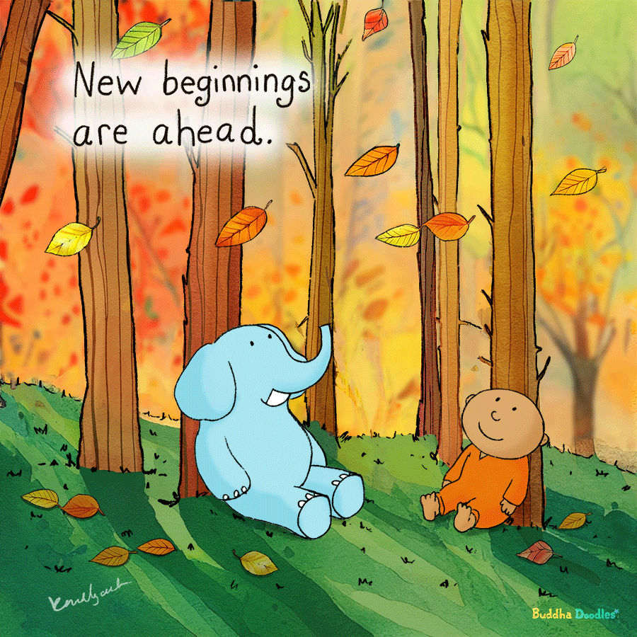 As the leaves fall and the seasons change, I’m reminded of the beauty in letting go and embracing the flow of life.

After my break, new ideas are slowly percolating, and I’m working on a new project that I’m excited to share soon!

In the spirit of the season, I hope these