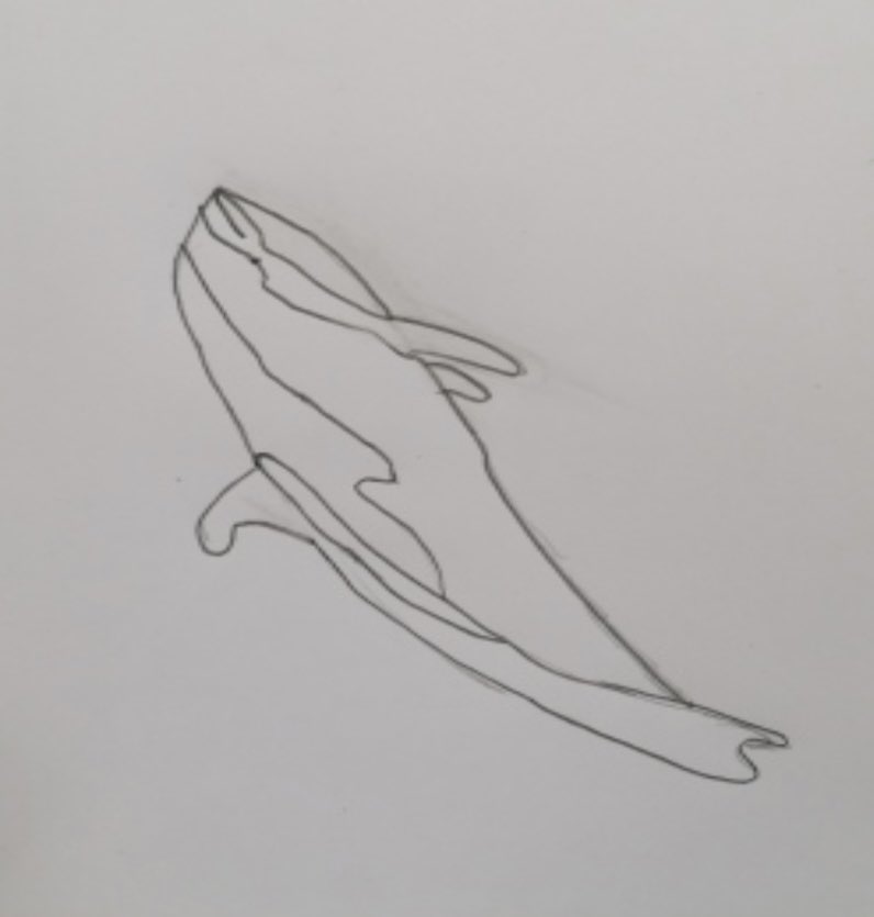 Here are the results for the  Dolphin creations …
1st - Gillingham <a href="/gillingham_pri/">Gillingham Primary</a> 
2nd -Howardian <a href="/HowardianPS/">Howardian Primary School</a> 
3rd -Oak Tree Academy, Burgess Hill 
Molly's Favourites … 
St Bernard’s school Bristol
Oak Tree Primary. Well done!