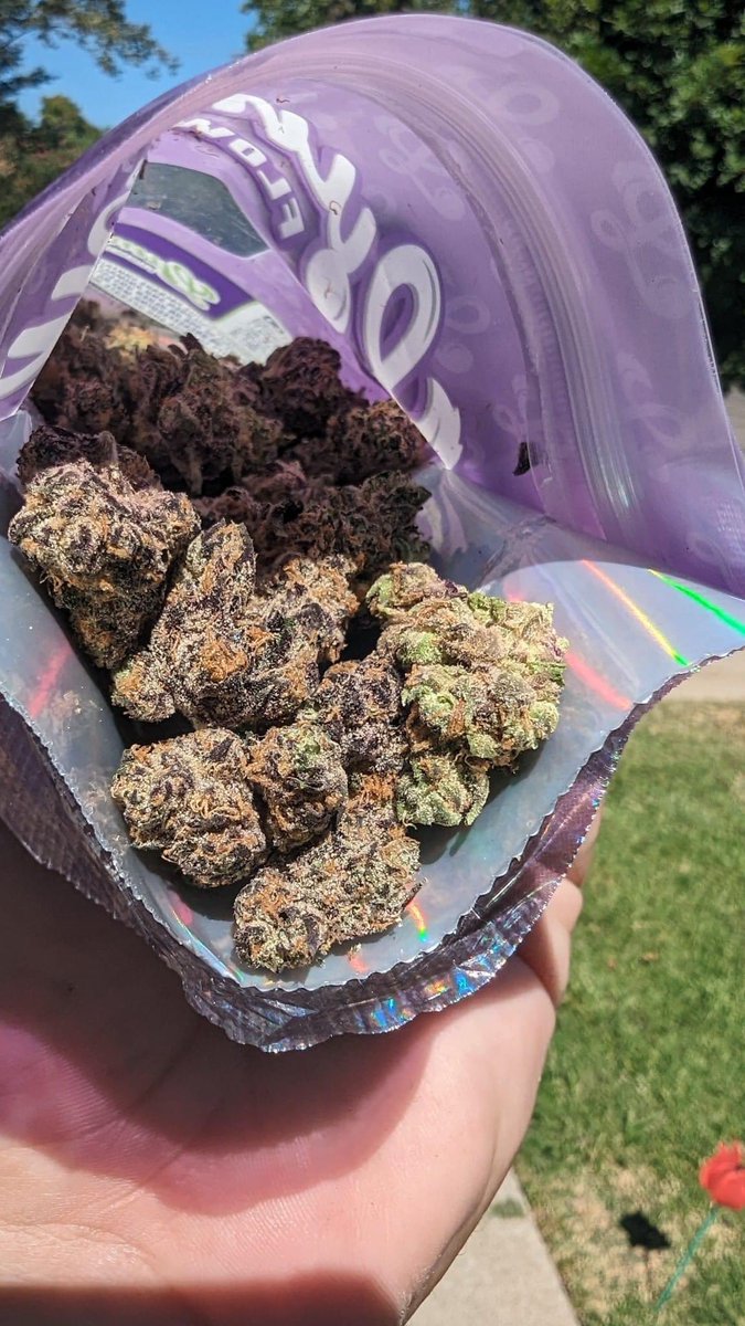 mikelbricks420 (@mikelbricks420) on Twitter photo 