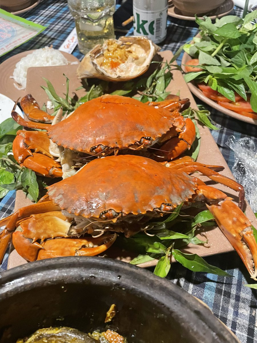 Thanhh99errr's tweet photo. Có mòi có Bào Đá ai nhậu dơ tay 🍻 https://t.co/GOqQd55Ond