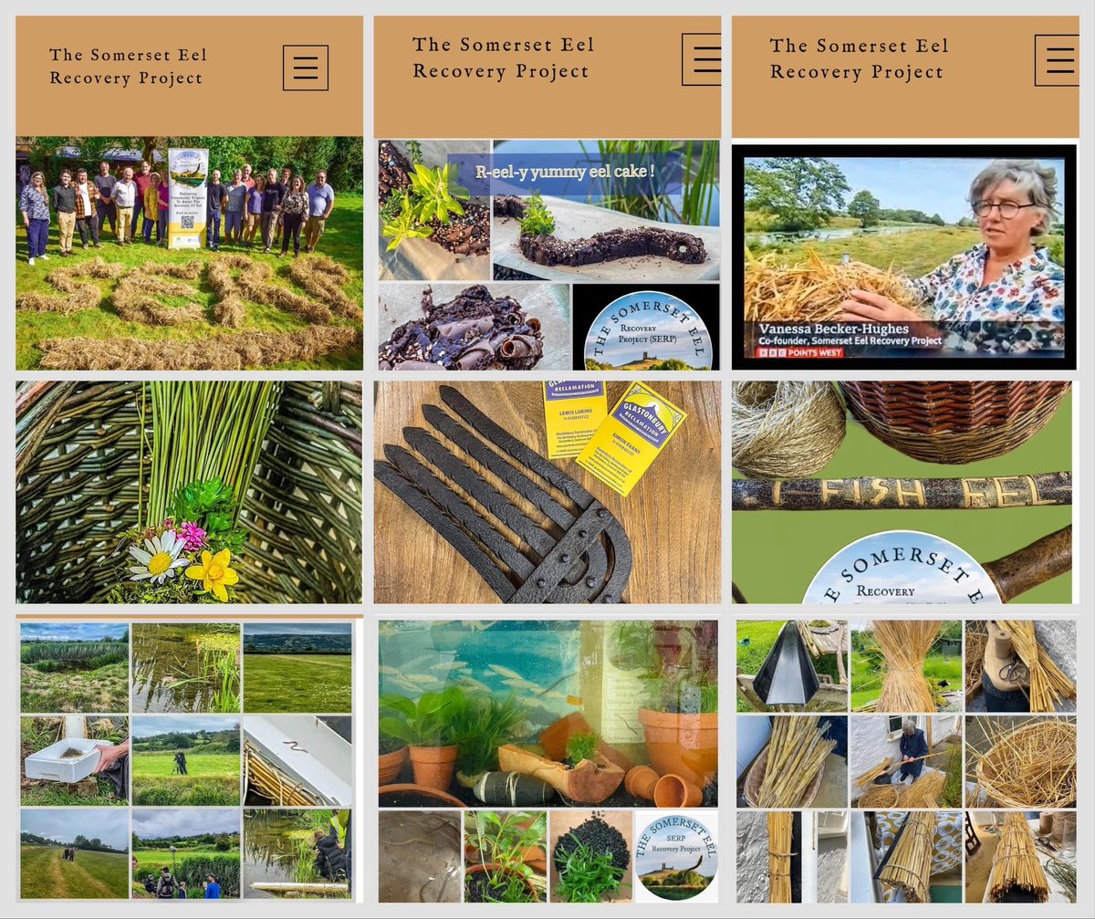 Special day for us today as we launch our new look website!

Please take a look and let us know what you think - particularly our visual gallery page which we will be building on all the time - so ever refreshing.
