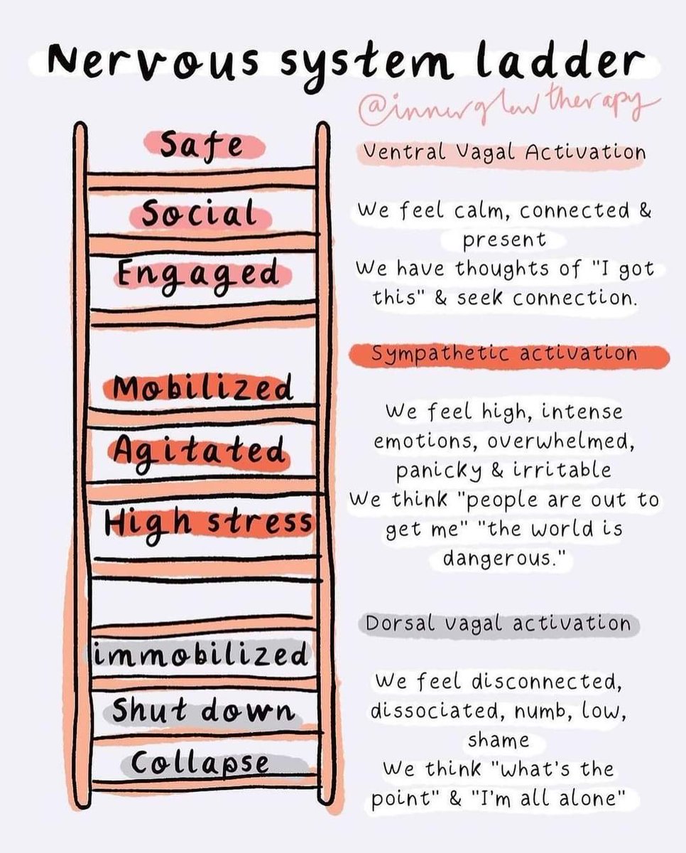 gerrydiamond71's tweet photo. Self-regulation is taught through co-regulation. 
We need to meet young people in their world.
Model, relational wealth, and a safe environment create calm nervous systems. Only then is the cortex  accessible for learning,self-control, and rational thinking 🧠🌱 https://t.co/nXsz1CyHPD