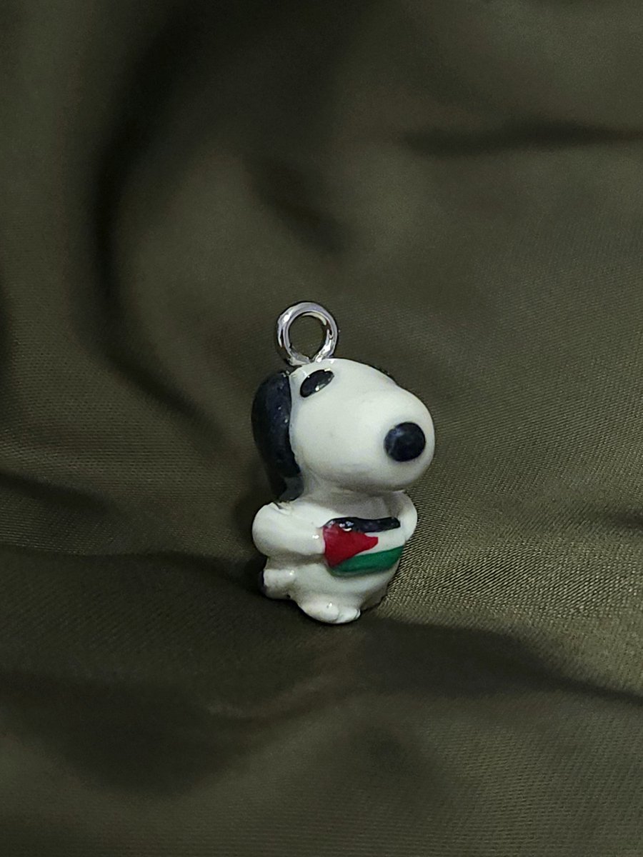 0utrotearz's tweet photo. Snoopy believes in a free palestine. 100% of the purchases go to a family in need ❤️
https://t.co/gn5u4kpDl1 https://t.co/ziXk4gl4Ui
