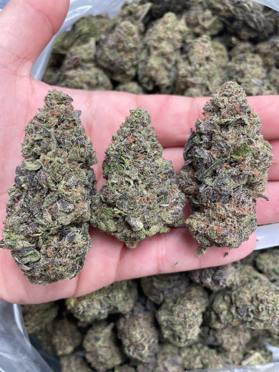 mikelbricks420 (@mikelbricks420) on Twitter photo 