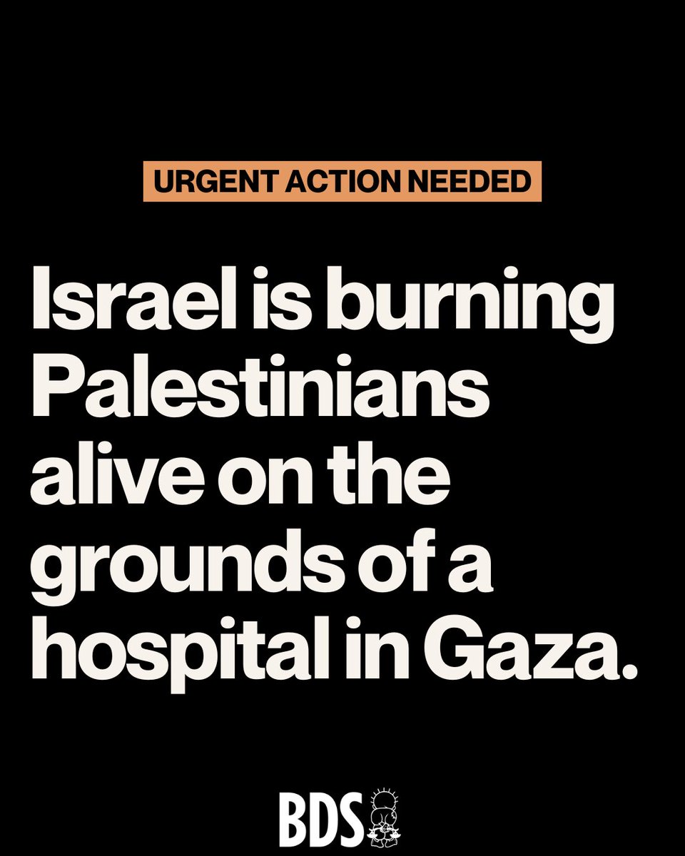 BDS movement tweet media