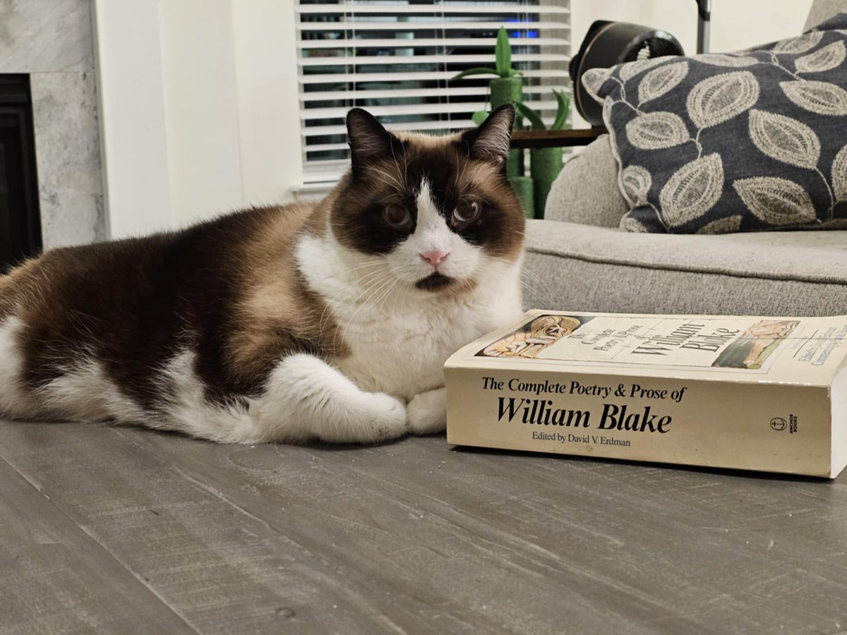 William Blake!?! tweet media