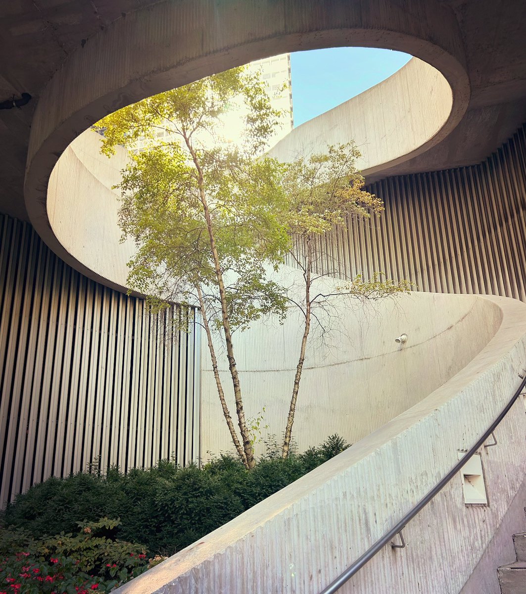 With just eight weeks to go as AIA President, I am reflecting on the journey. Regardless of where you are in your leadership journey, may you continue to rise. 

AIA members, please tap into leadership training at AIAU: aiau.aia.org

#MoreIn24Monday #KND4AIA #100Week44