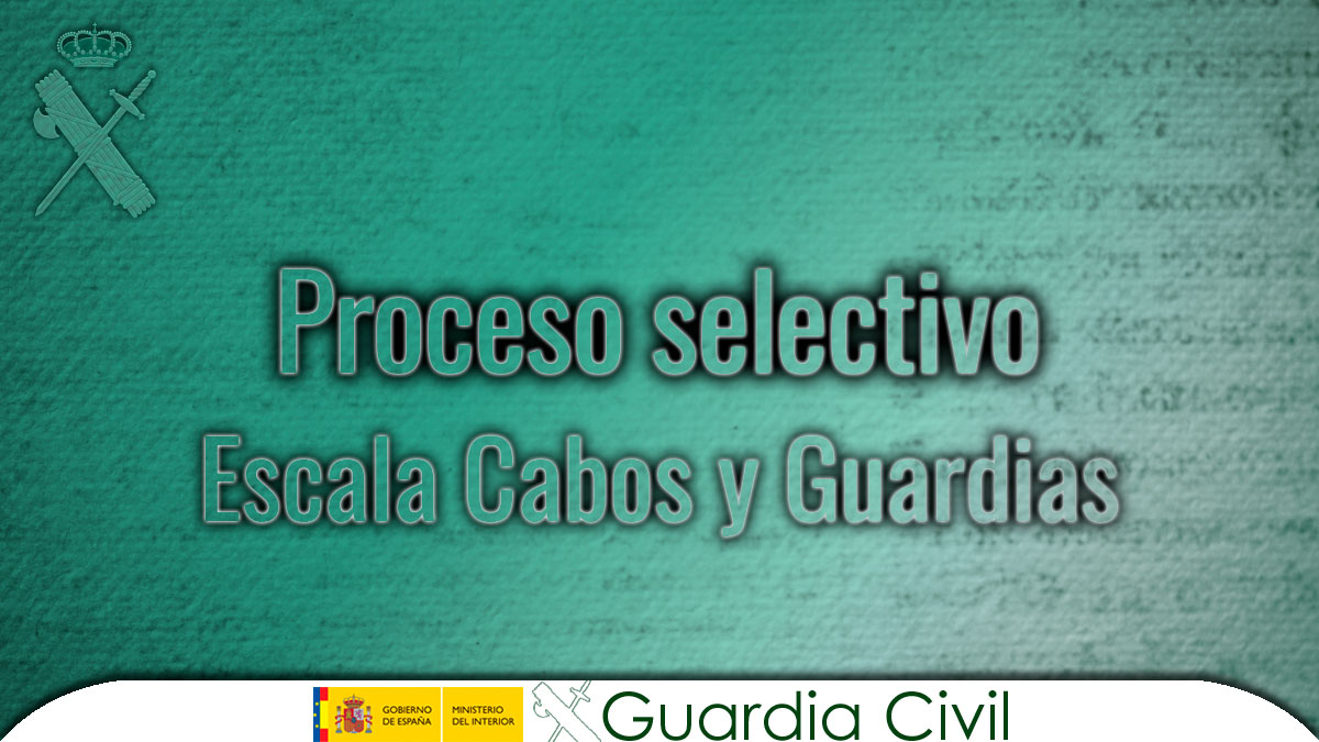 guardiacivil's tweet photo. 🔴Publicadas las plantillas de respuestas de las pruebas de conocimientos teórico-prácticos y de aptitudes intelectuales de acceso a la Escala de Cabos y Guardias de la Guardia Civil, aplicadas los días 28 de septiembre y 13 de octubre de 2024 👇
https://t.co/o2zB2PTxni https://t.co/OFbKtEDQxE