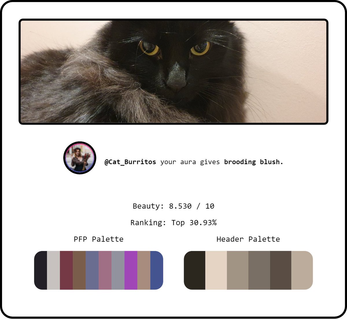 Cat_Burritos's tweet photo. https://t.co/dUlwyQWyvu