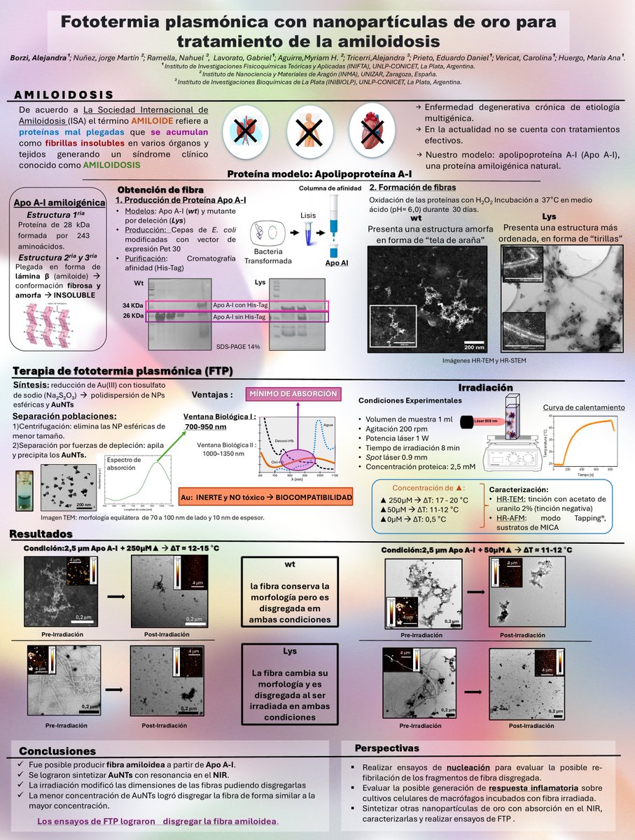 AlejandraBorzi's tweet photo. Hola @LatinXChem !! Les presento mi trabajo "Fototermia plasmónica con nanopartículas de oro para tratamiento de la Amiloidosis"
#LatinXChem24
#LatinXChemNanoMat
#NanoMat110 https://t.co/ehZKSAoqBd