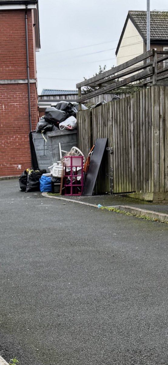 Jenna Webb tweet media