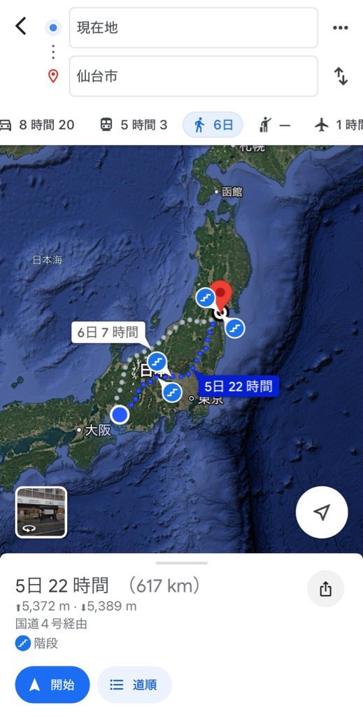 化石 tweet media