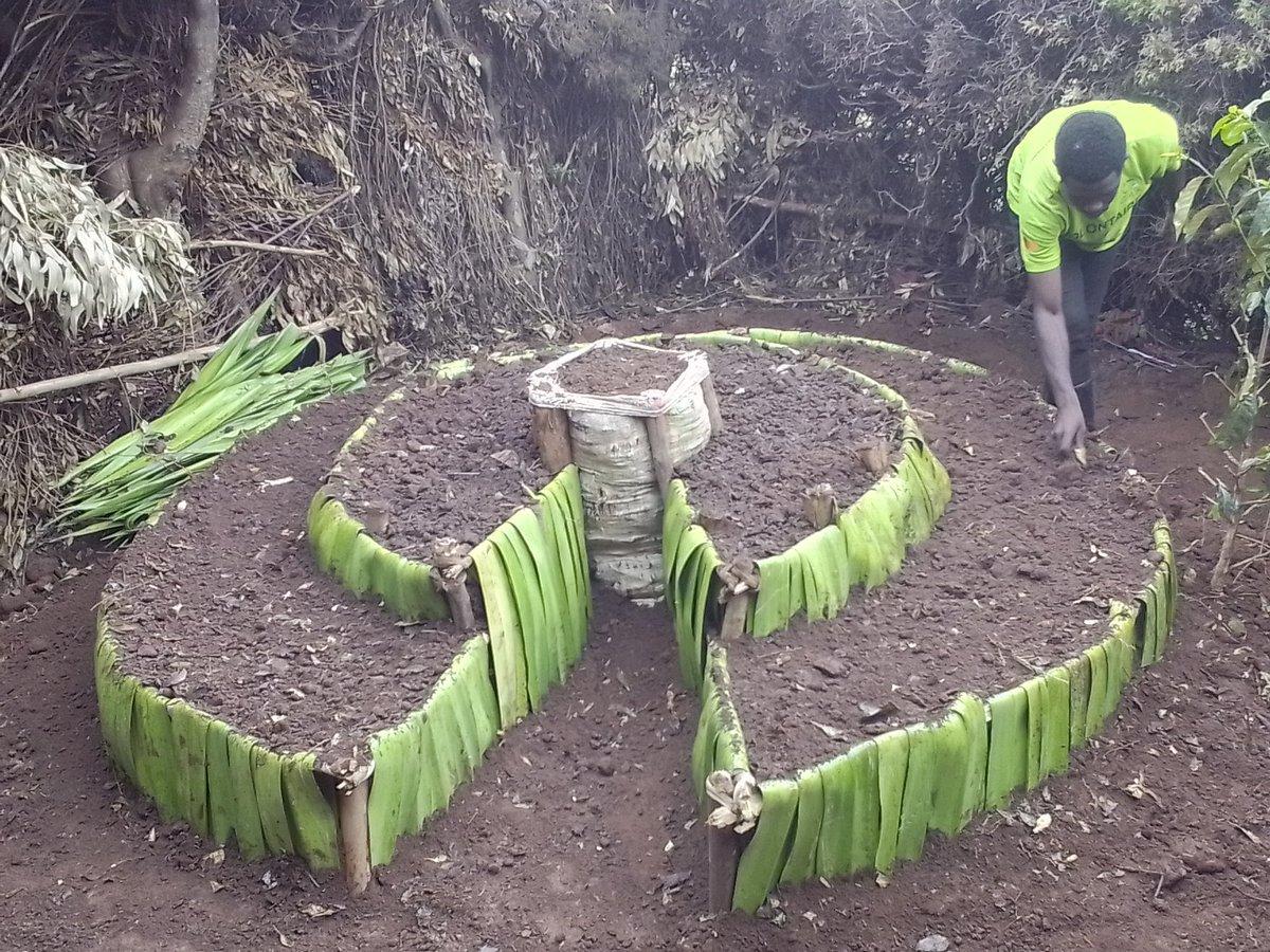 AgronomeZebri's tweet photo. It's amazing to have a kitchen garden from available local materials and promoting proper nutrition among the community members.
#thisIsCorpsAfrica
#Localhelpinglocals
#AssetBasedCommunityleddevelopment
#CorpsAfricaRwnda @highlightLizFanning. https://t.co/gti7SxwR6t