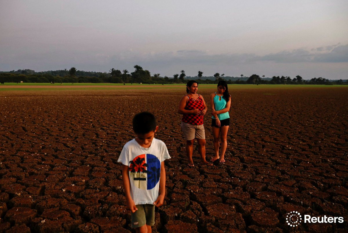 Amanda Perobelli tweet media