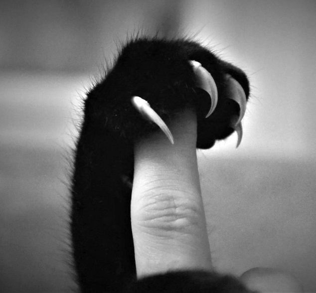 esylmaz's tweet photo. 🖤 https://t.co/sTA17WqhWV