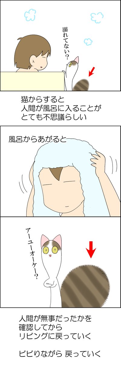 心配する猫🐱 2/2 