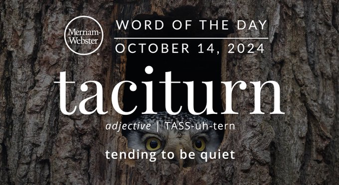 Merriam-Webster Word of the Day October 14, 2024 'taciturn' adjective | TASS-uh-tern 'tending to be quiet' Background Image: an owl in a tree 
