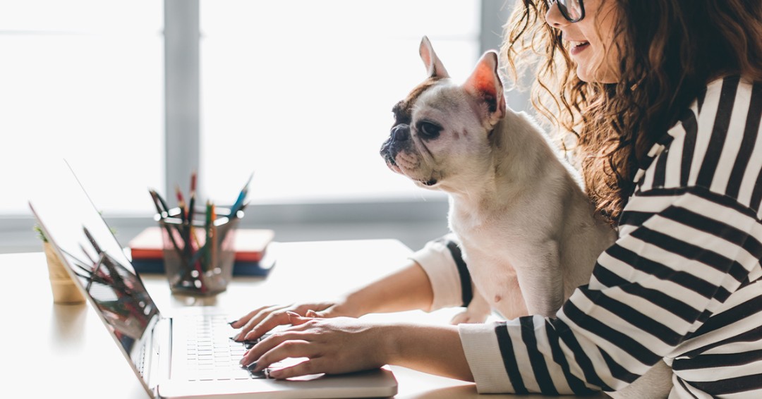 Today, our offices are closed to honor Indigenous People's Day. But don't worry - it's also Online Banking Day! Take advantage of secure and convenient digital banking services from the comfort of your home. #OnlineBankingDay #ColumbusDay 🌟🏦💻