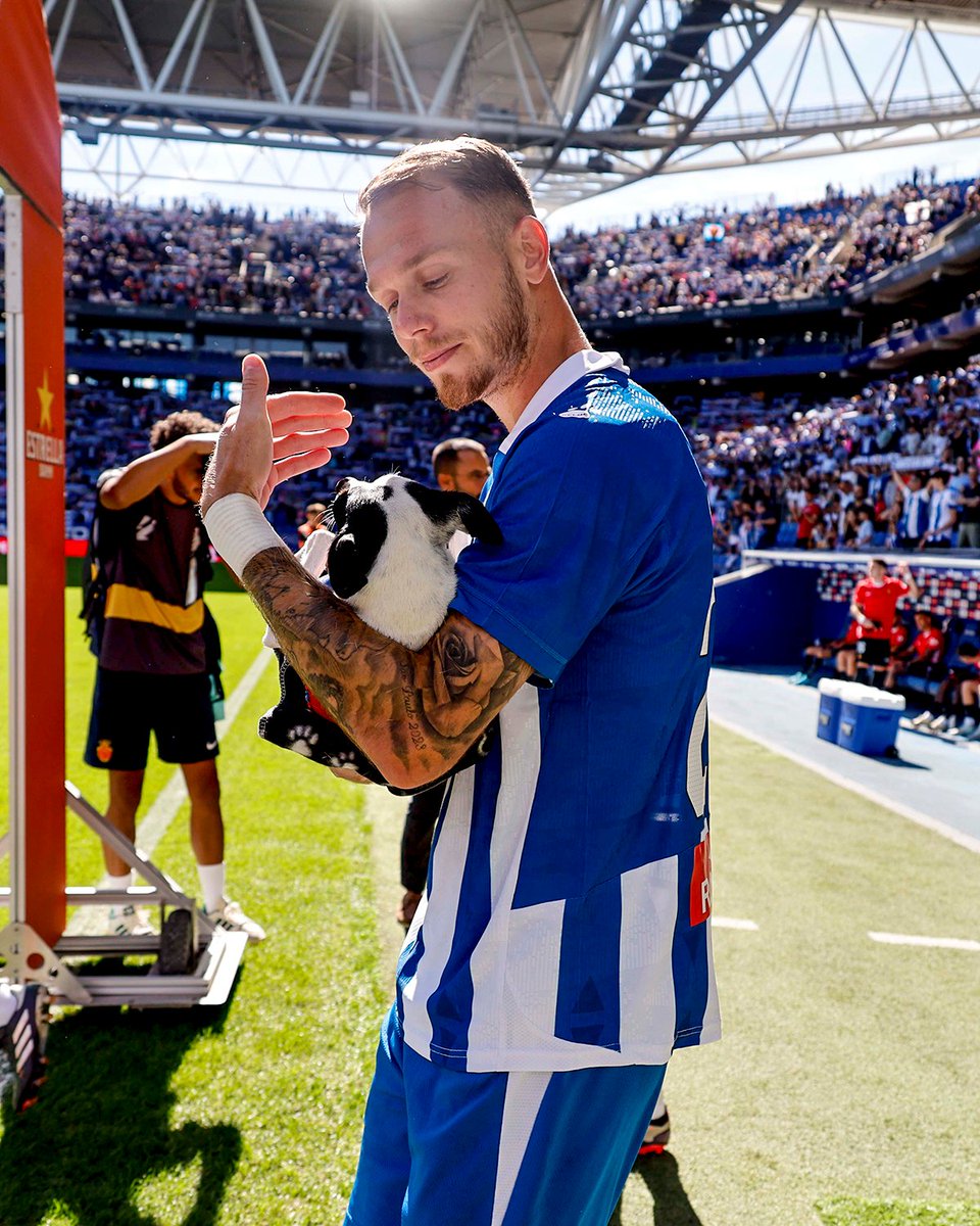 RCDEspanyol's tweet photo. Comencem la setmana amb bones notícies: 𝐌𝐈𝐊𝐀 ha estat adoptada 💗

Ens n'alegrem moltíssim i estem segurs que serà molt feliç!!! 🥰 #ElsPericosNoAbandonen https://t.co/2zuxGvnyYg