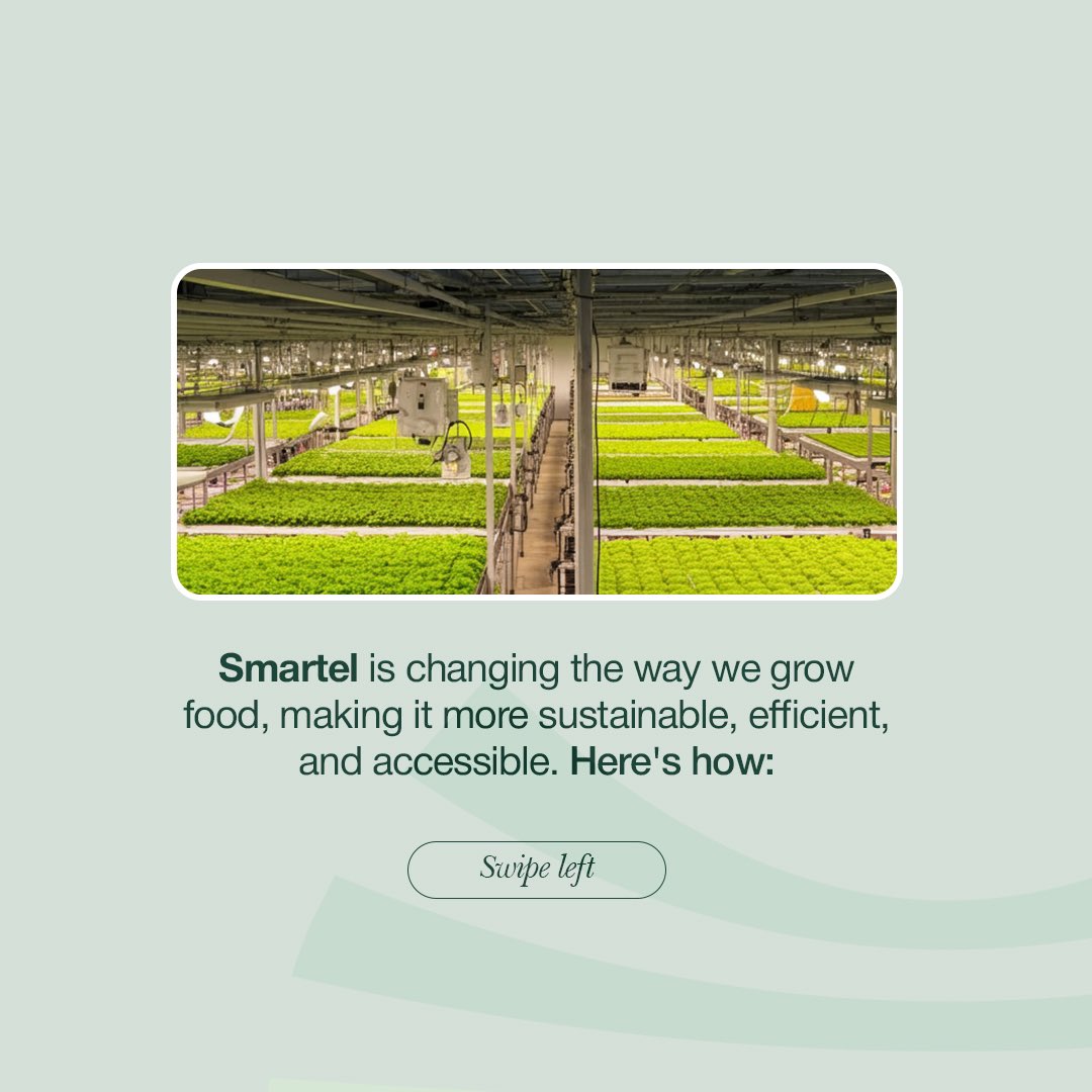 Smartelglobal's tweet image. Our climate-smart hydroponic systems 
transforms the way food is grown—making it more sustainable, efficient, and accessible for everyone……
We&apos;re paving the way for a future where healthy food is within everyone’s reach. 🌍 #SmartelImpact #SustainableFarming #FutureOfFood&quot;
