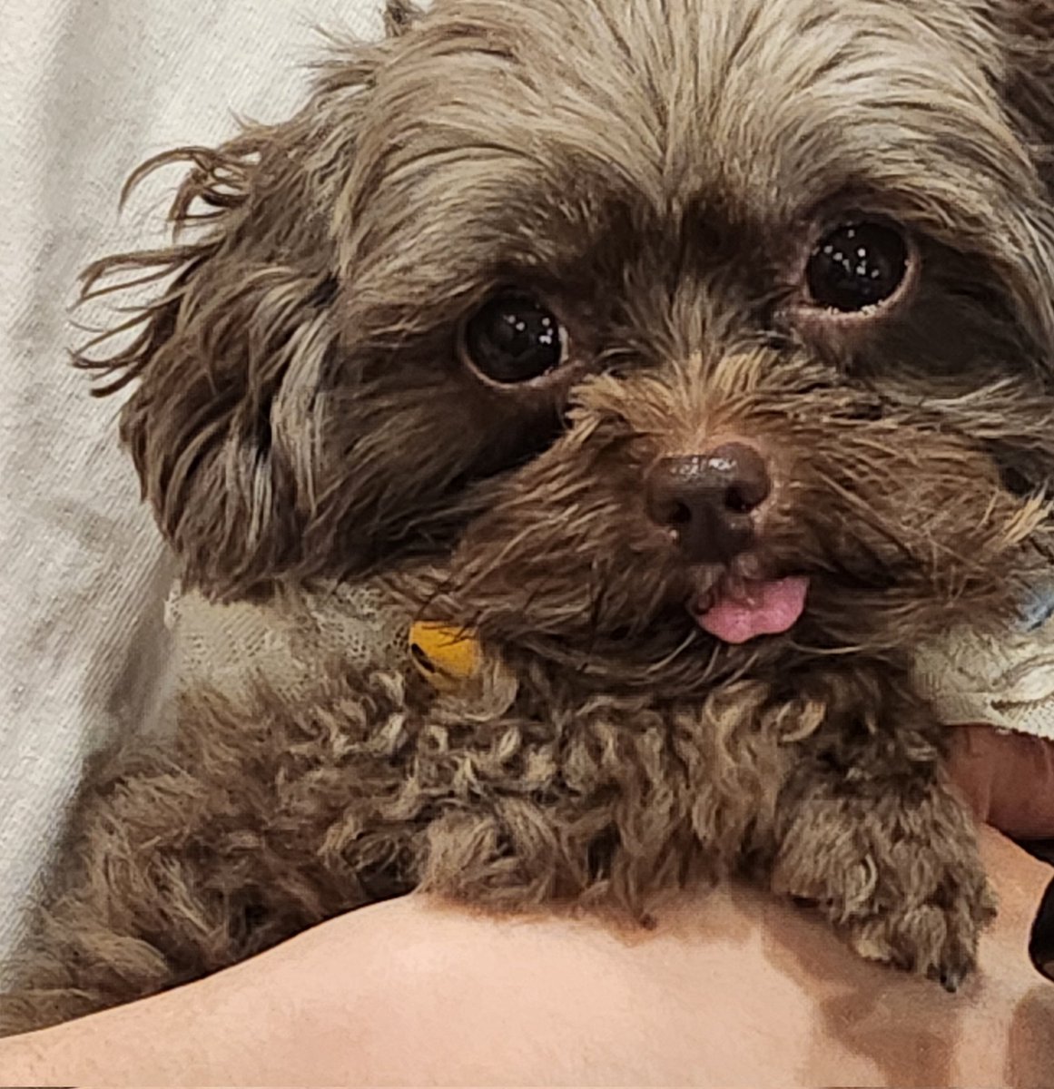 ここ最近はずっと脚本やってます。
頭使うから苦しいわ。