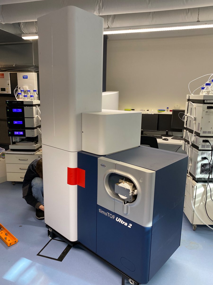 Andrea Sinz (@sinzandrea) on Twitter photo 🎉 The week is starting well: The timsTOF ultra 2 has just arrived in Halle at the Center for Structural MS! Can’t wait to see the first data… <a href="/UniHalle/">Universität Halle (inaktiv)</a> #teammassspec 🎉 The week is starting well: The timsTOF ultra 2 has just arrived in Halle at the Center for Structural MS! Can’t wait to see the first data… <a href="/UniHalle/">Universität Halle (inaktiv)</a> #teammassspec