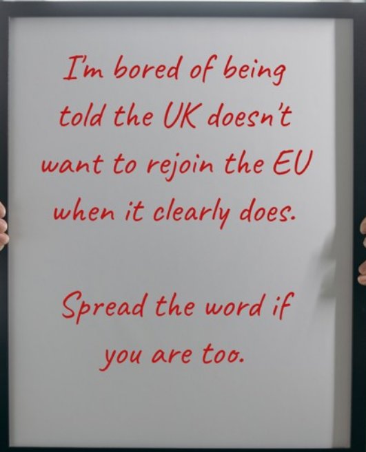 Stay European #RejoinEU 🇪🇺 #FBPE (@stayeuropean) on Twitter photo 