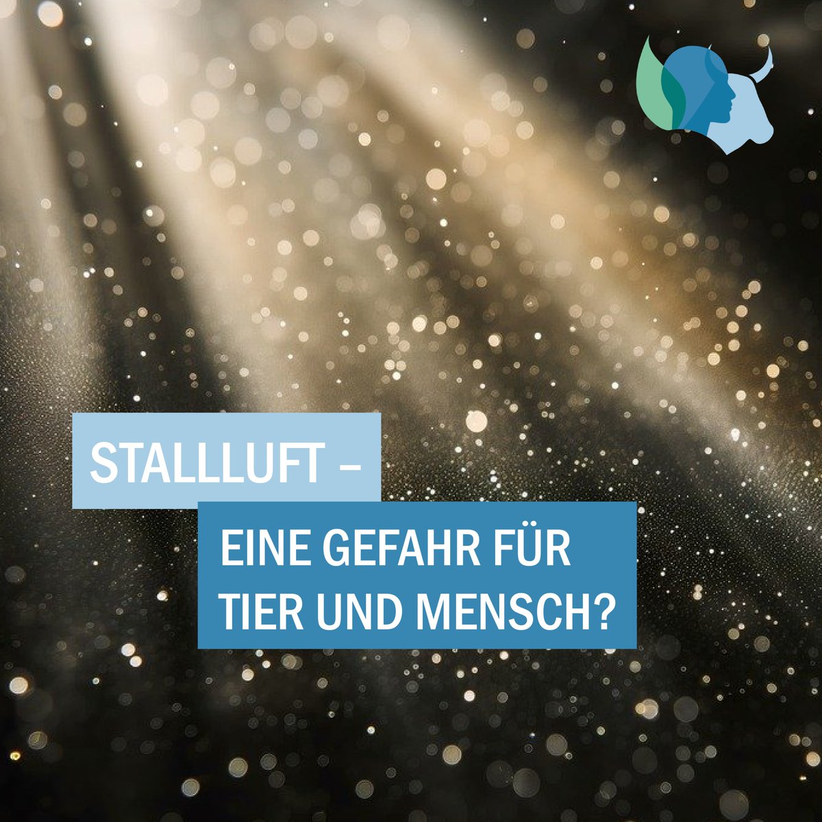 Stallluft – eine Gefahr für Tier und Mensch? In dem <a href="/INFECTIONS_21/">INFECTIONS</a>  Projekt "AirBarn" sollen Aerosole in und aus Tierställen als potentielle Gefahrenquelle für luftübertragene Krankheitserreger untersucht werden: leibnizinfections.de/de/aktuelles-t… <a href="/LeibnizATB/">Leibniz-Institut für Agrartechnik und Bioökonomie</a> <a href="/Leibniz_DSMZ_en/">Leibniz-Institut DSMZ</a> <a href="/zalf_leibniz/">ZALF</a>