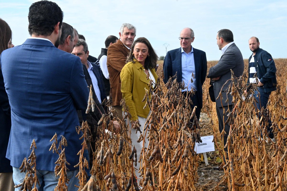 MariaGlezCorral's tweet photo. Trabajamos junto con agricultores y empresas como @Pascual en investigar cultivos alternativos que hagan nuestro campo más competitivo. Hoy hemos visitado un ensayo con soja en Arabayona de Mógica, (Salamanca). Cultivos que se hacen, se transforman y generan futuro aquí, en #CyL. https://t.co/aFAZLtI3LW