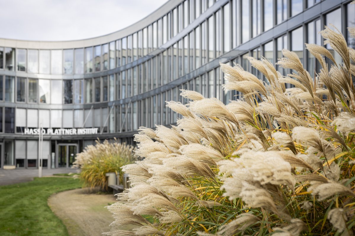 Hasso-Plattner-Institut tweet media