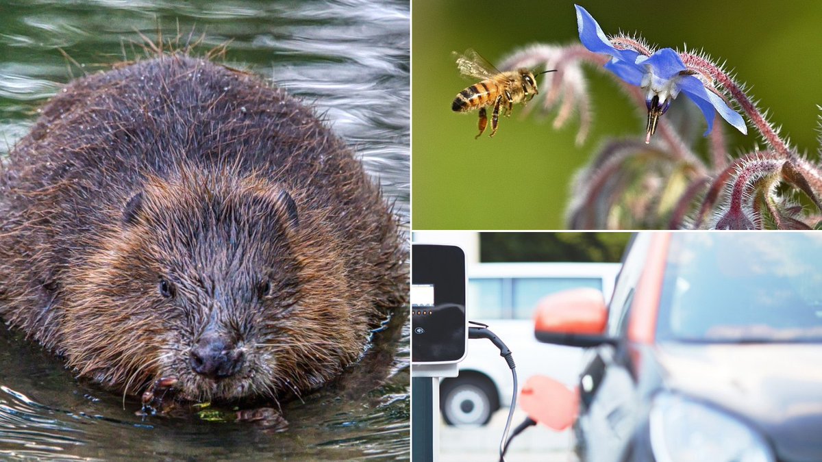 Sustainability shorts are back! Join us next Weds eve at 7pm for 6 short and sweet talks on all things sustainability. We’ll talk electric cars, habitat restoration, sustainable fashion and more. £5 suggested donation. 

Book here: transitionbath.org/event/sustaina…