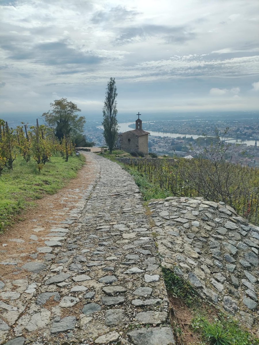 AHTourisme's tweet photo. Lancement de l'application Détours en Vignes 🍁🍇🍷.Plongez au cœur des vignobles de la Vallée du Rhône, une application gratuite qui vous invite à découvrir nos 5 appellations.

En savoir plus 👉https://t.co/RqKb8HqC8o

@ARCHEAgglo @ArdecheTourisme @dromecmanature @Partir_Ici https://t.co/0MYuSD9tOc