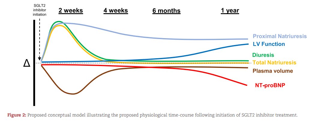 NDTsocial's tweet photo. Proximal versus distal diuretics in congestive heart failure

🔓https://t.co/1zv1iEl5Bc https://t.co/QNQw4feIAm
